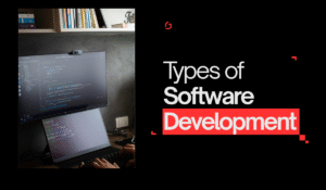 Types of Software Development